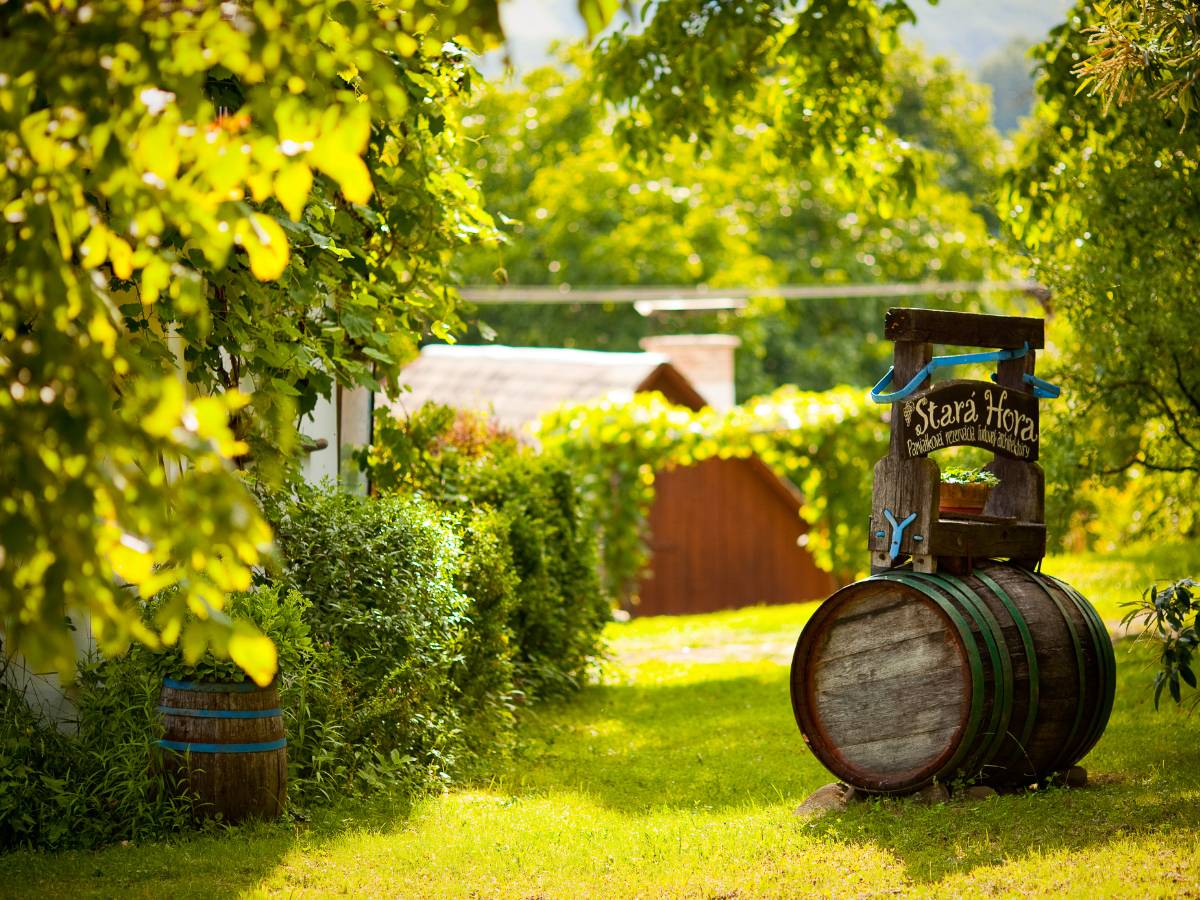 Vinárske pivničky na Strednom Slovensku sa otvoria aj tento rok