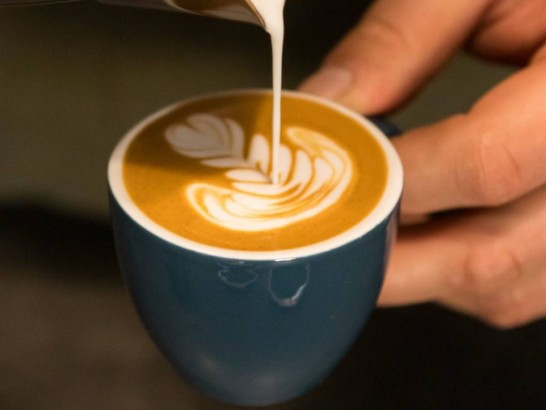 the fleck coffee roasters